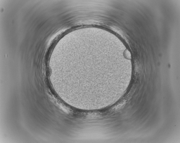 X0000070390979200607072215