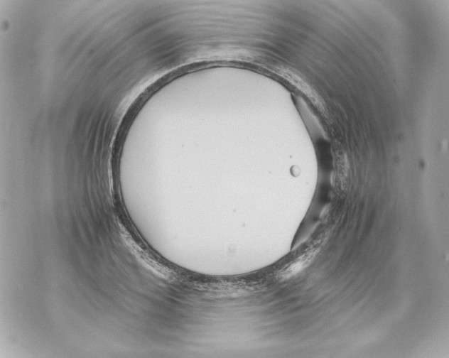 X0000070390980200607072215