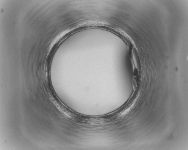 X0000070390981200607072215