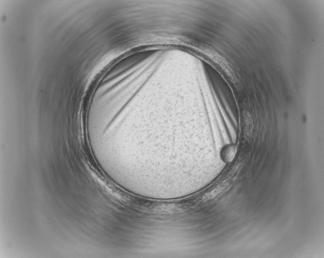 X0000070390982200607072215