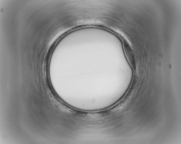 X0000070390983200607072215