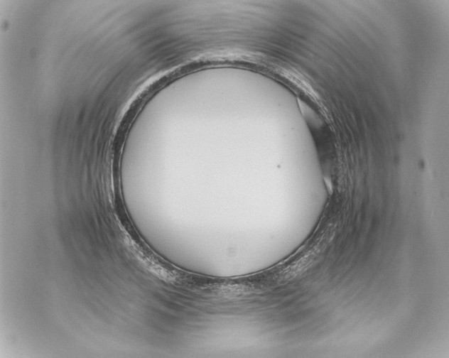 X0000070390984200607072215