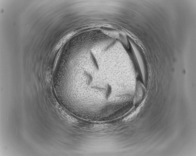 X0000070390985200607072215