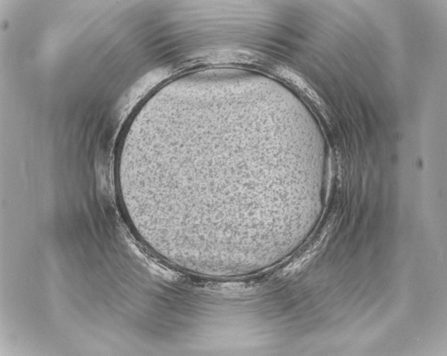 X0000070390986200607072215