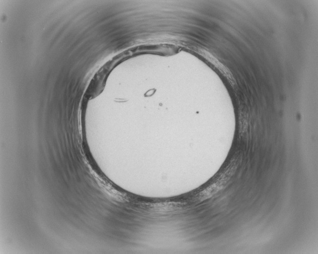 X0000070390988200607072214