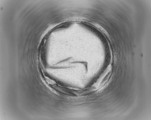 X0000070390989200607072214