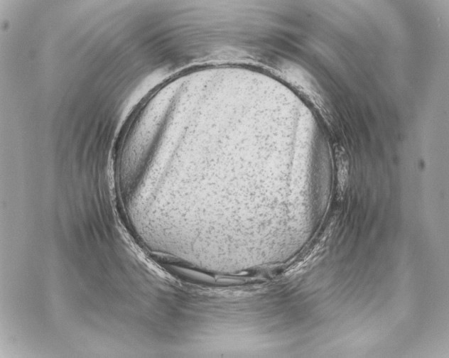 X0000070390990200607072214