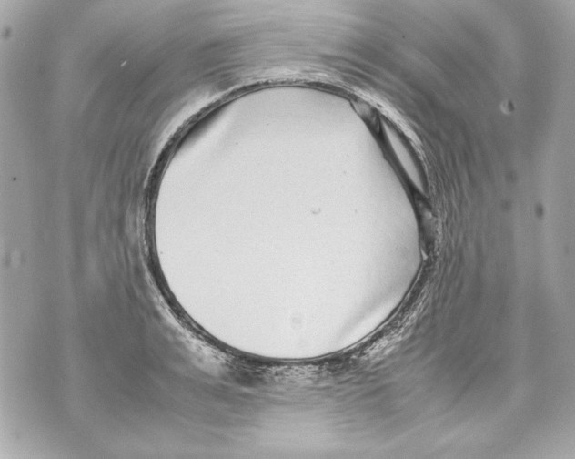 X0000070390991200607072214