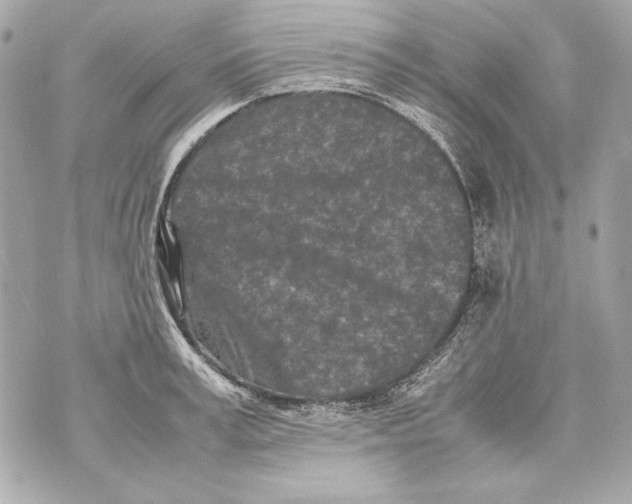 X0000070390995200607072214