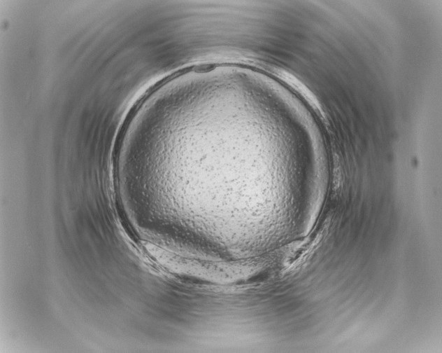 X0000070390996200607072214