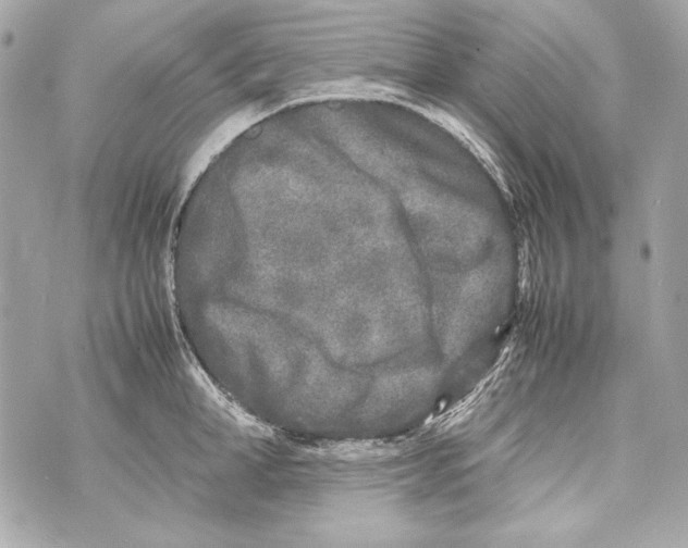 X0000070390998200607072214