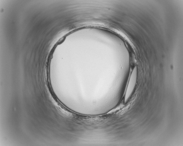 X0000070390999200607072214