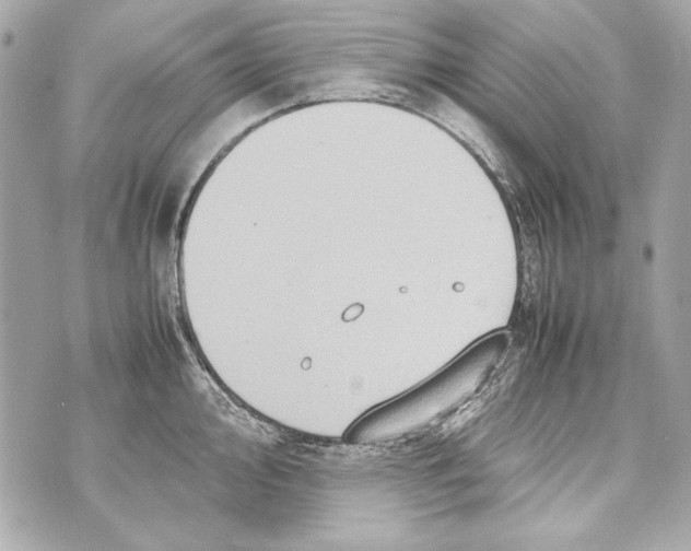 X0000070391000200607072214