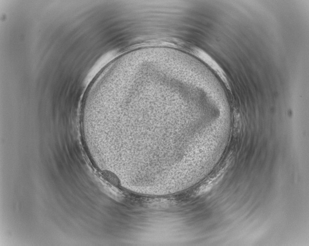 X0000070391002200607072214