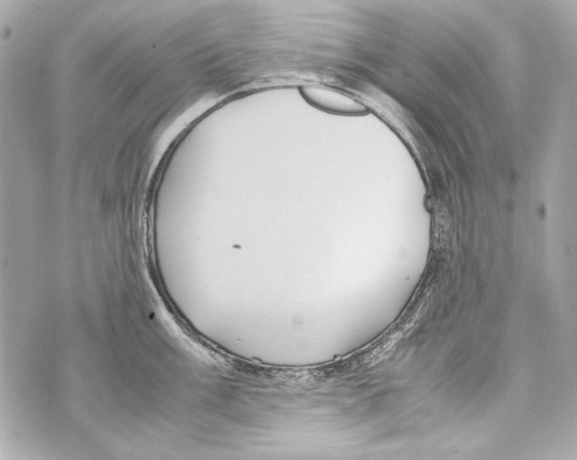 X0000070391003200607072214