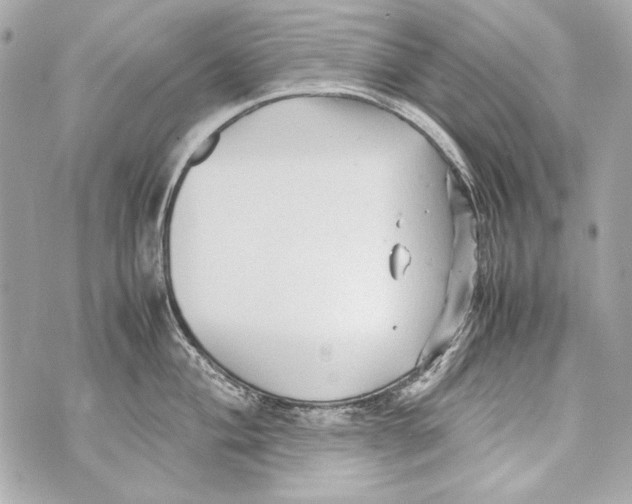 X0000070391004200607072214