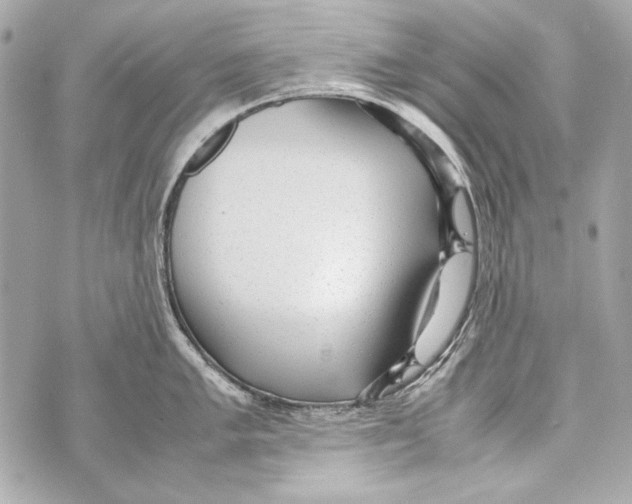 X0000070391005200607072214