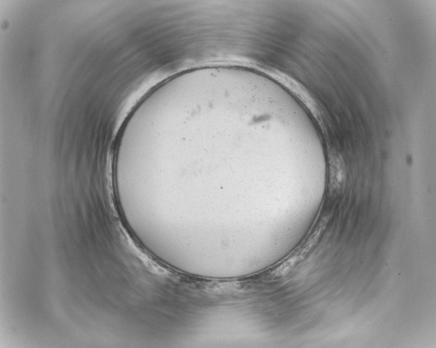 X0000070391006200607072214