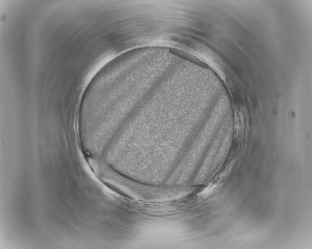 X0000070391007200607072214