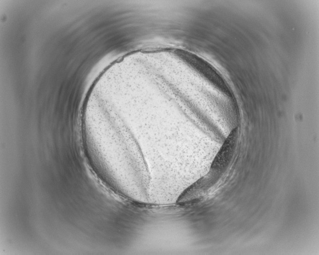 X0000070391008200607072214