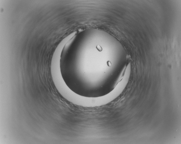 X0000070391010200607072213