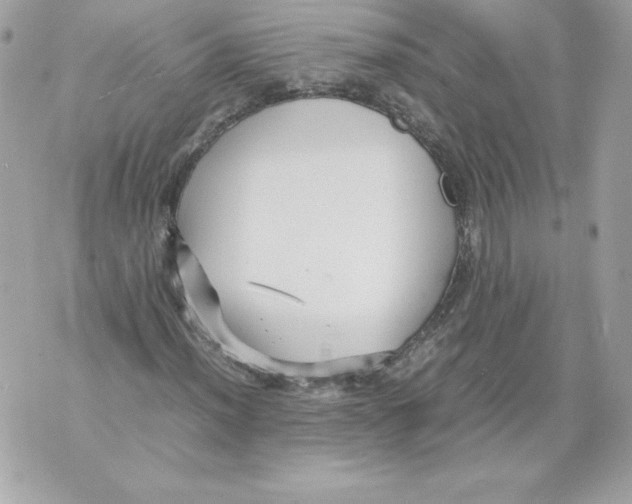 X0000070391012200607072213