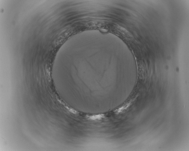 X0000070391013200607072213