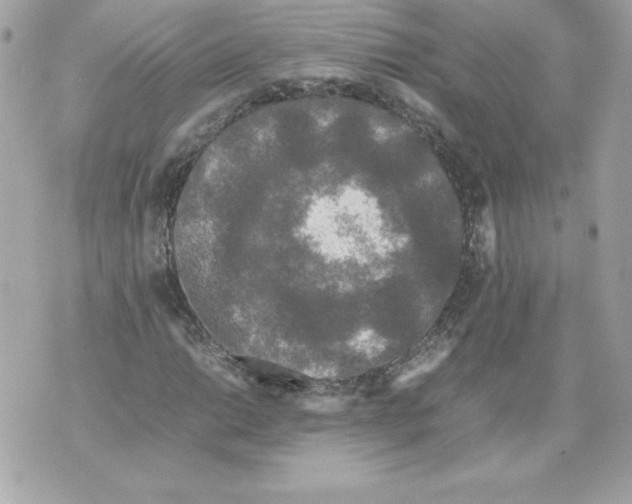 X0000070391014200607072213