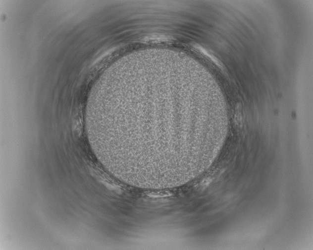 X0000070391015200607072213