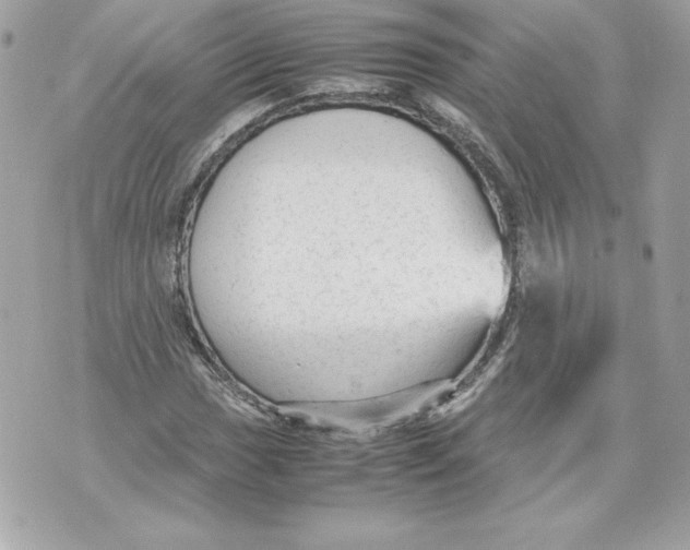 X0000070391017200607072214