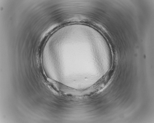 X0000070391018200607072214