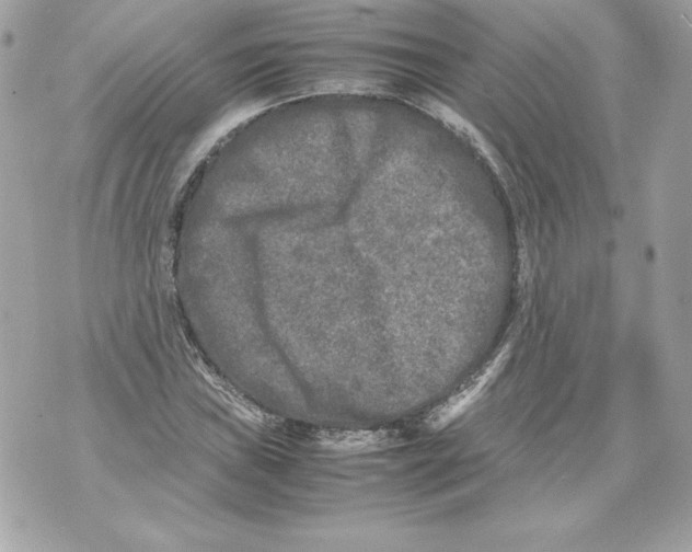 X0000070391019200607072214