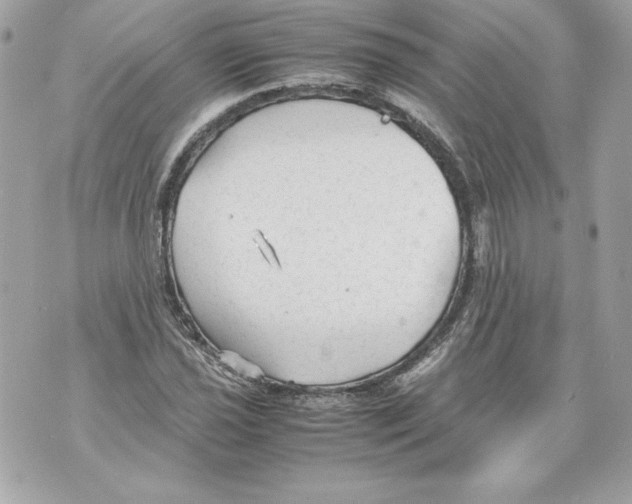 X0000070391021200607072214