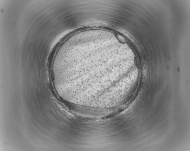 X0000070391022200607072214