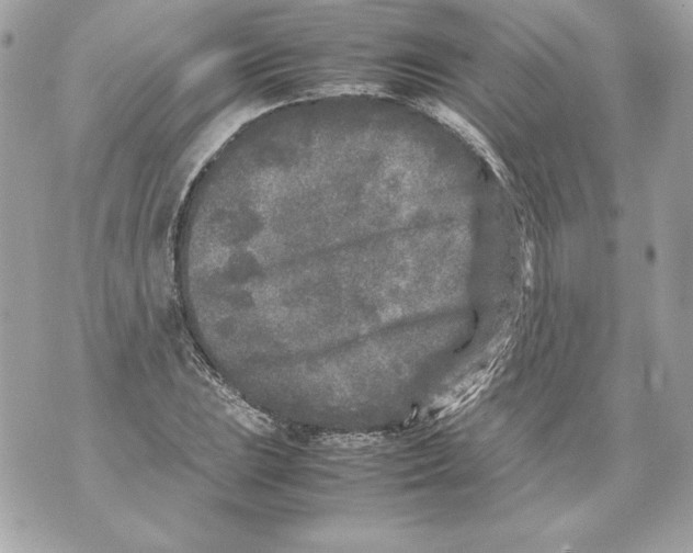 X0000070391023200607072214