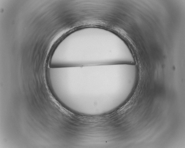 X0000070391024200607072214