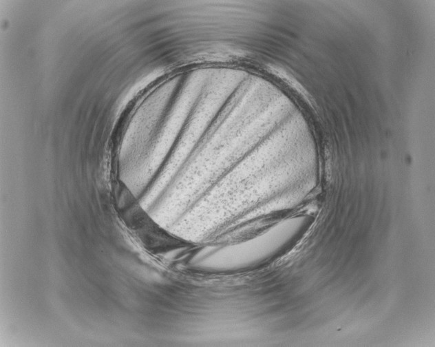 X0000070391026200607072214