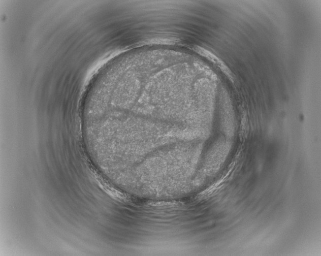 X0000070391027200607072214