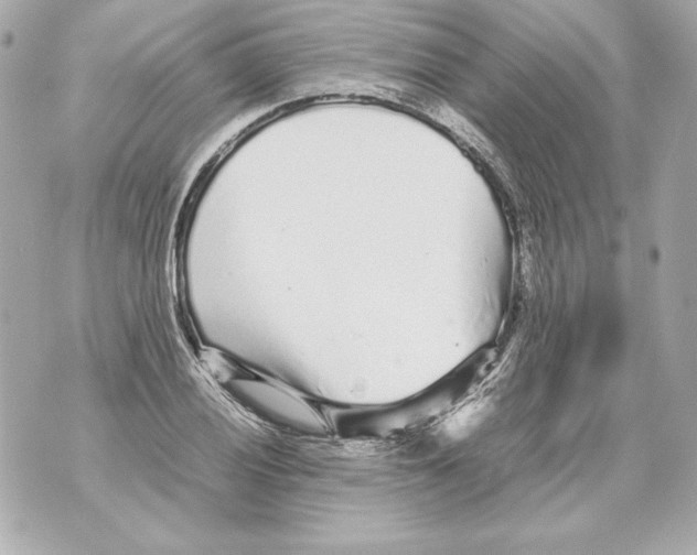 X0000070391028200607072214