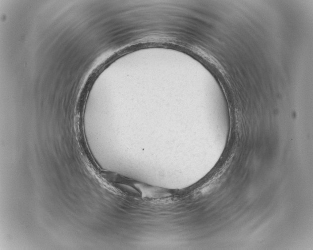 X0000070391029200607072214