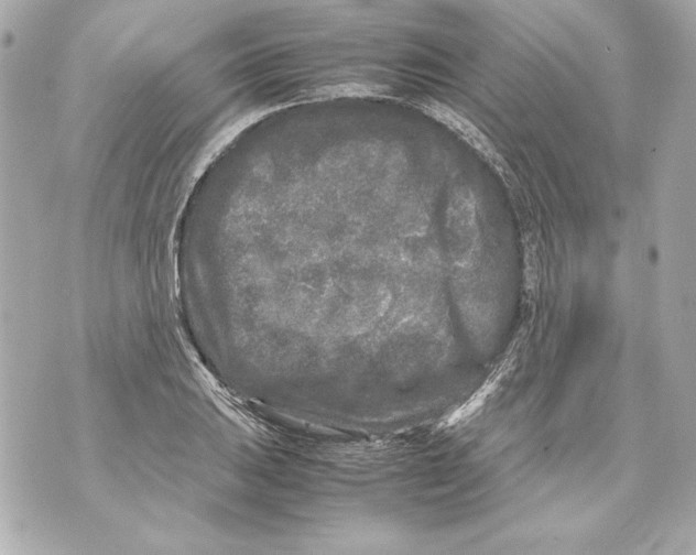 X0000070391031200607072214