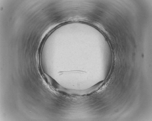 X0000070391032200607072214