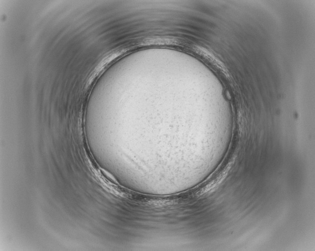 X0000070391033200607072214