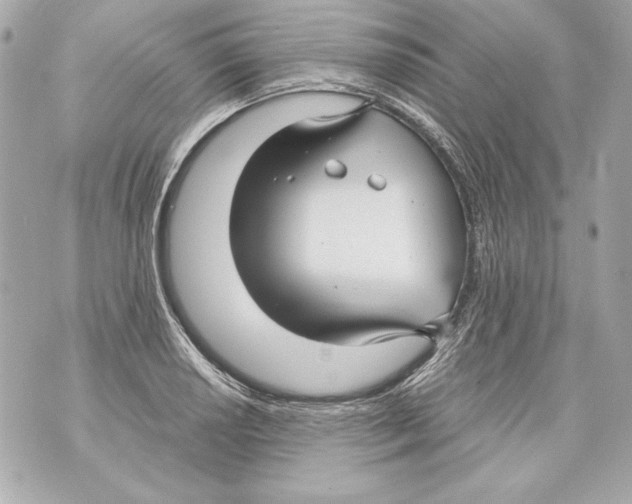 X0000070391034200607072214