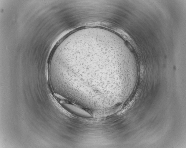 X0000070391036200607072214