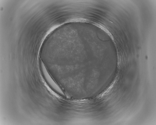 X0000070391037200607072214