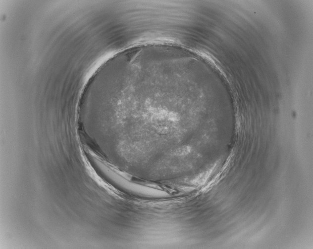 X0000070391038200607072214