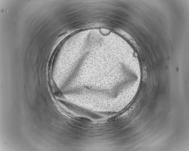 X0000070391039200607072214