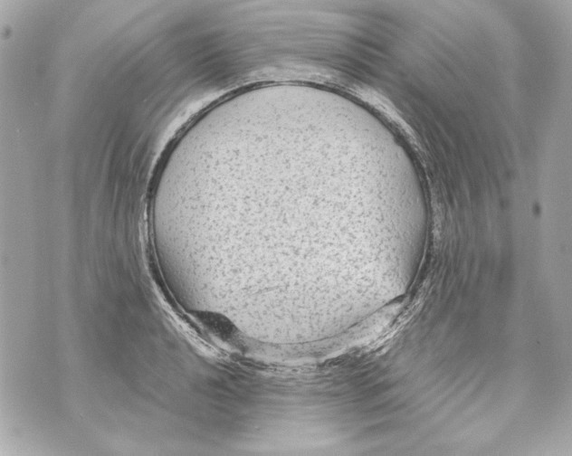 X0000070391040200607072214