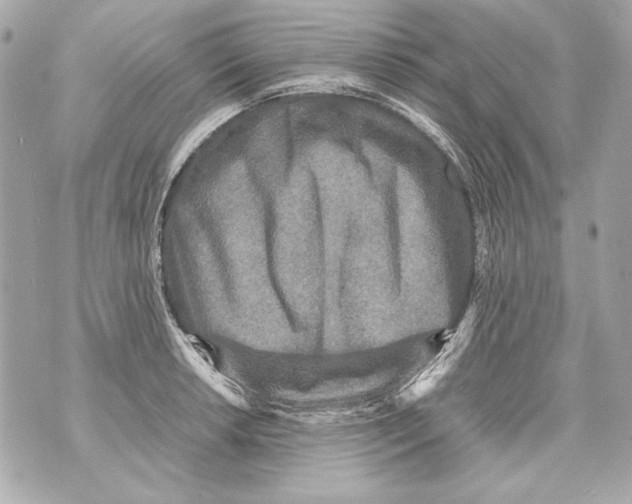 X0000070391042200607072214